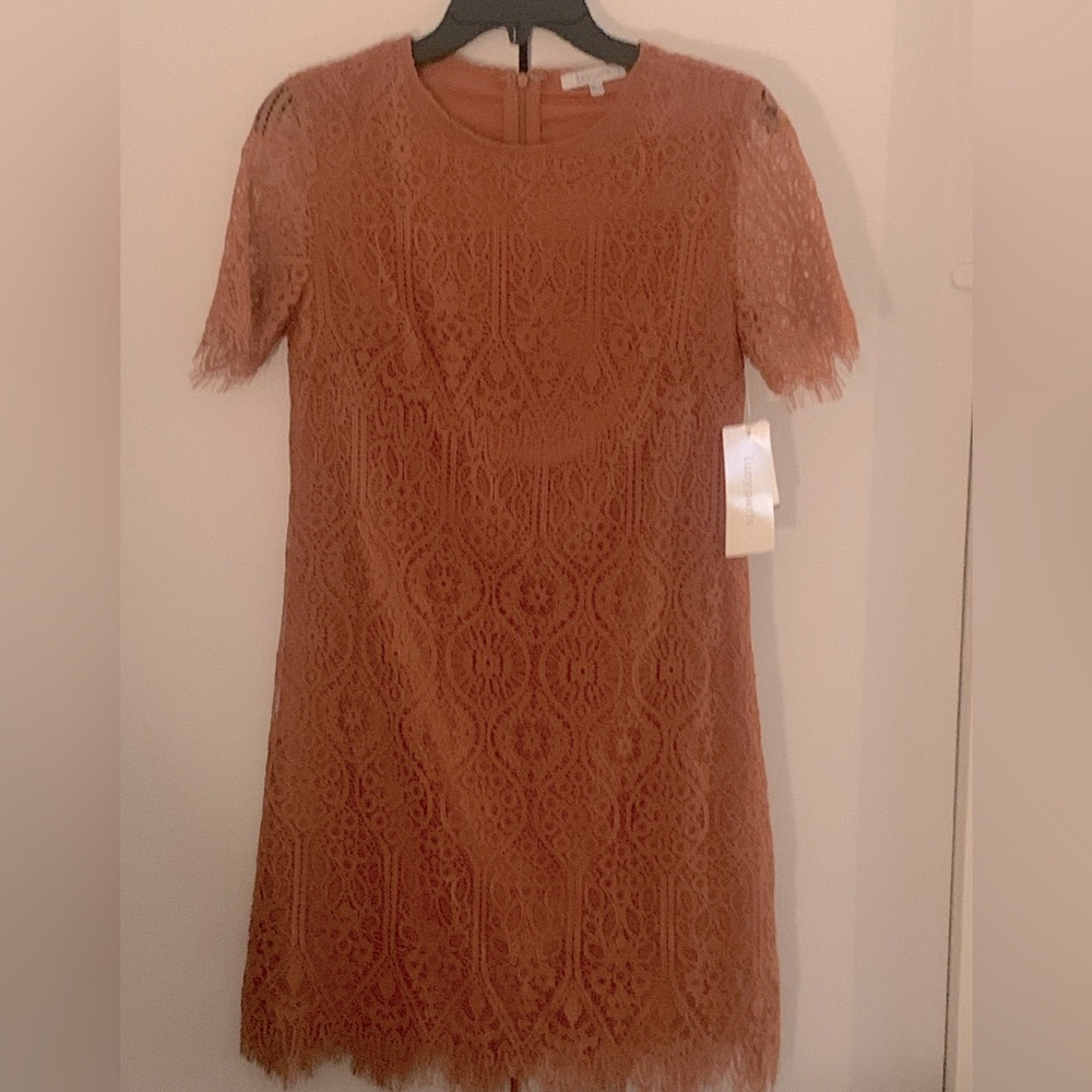 Never worn, tags on, rust color dress.